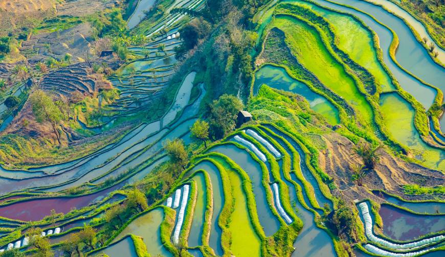 走进墨竹工卡县TVC拍摄：解锁本地化场景与创意镜头的完美融合
